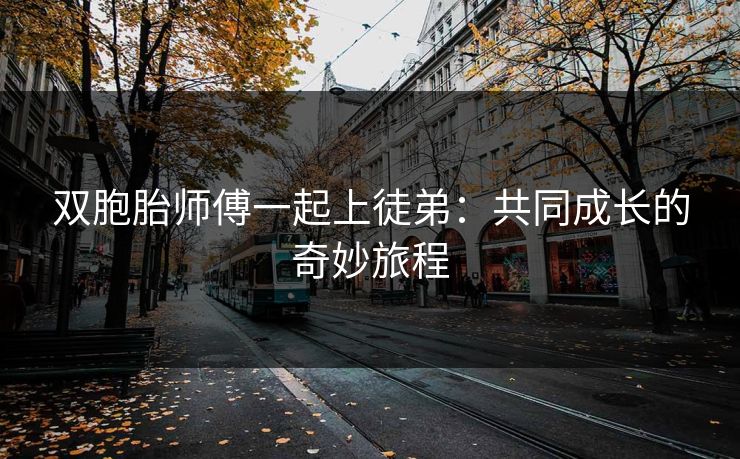 双胞胎师傅一起上徒弟：共同成长的奇妙旅程