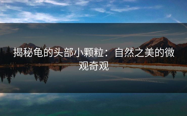 揭秘龟的头部小颗粒：自然之美的微观奇观