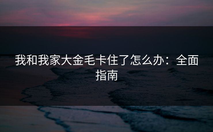 我和我家大金毛卡住了怎么办:全面指南 我和我家大金毛卡住了怎么办:全面指南