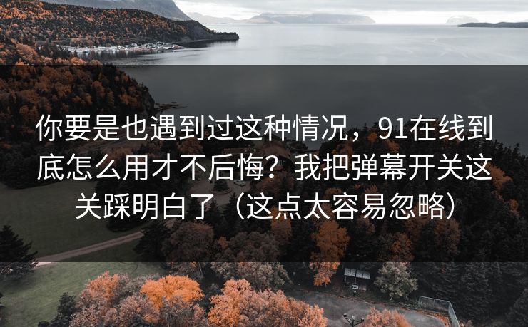 你要是也遇到过这种情况,91在线到底怎么用才不后悔?我把弹幕开关这关踩明白了(这点太容易忽略)