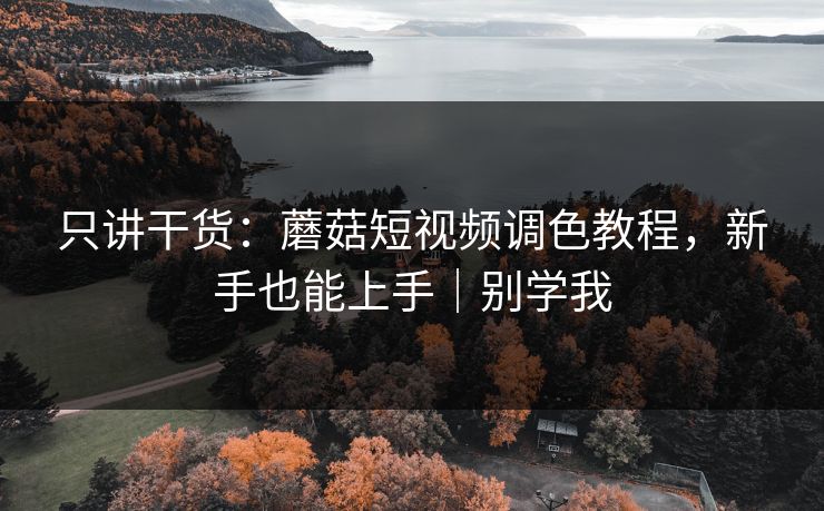 只讲干货：蘑菇短视频调色教程，新手也能上手｜别学我