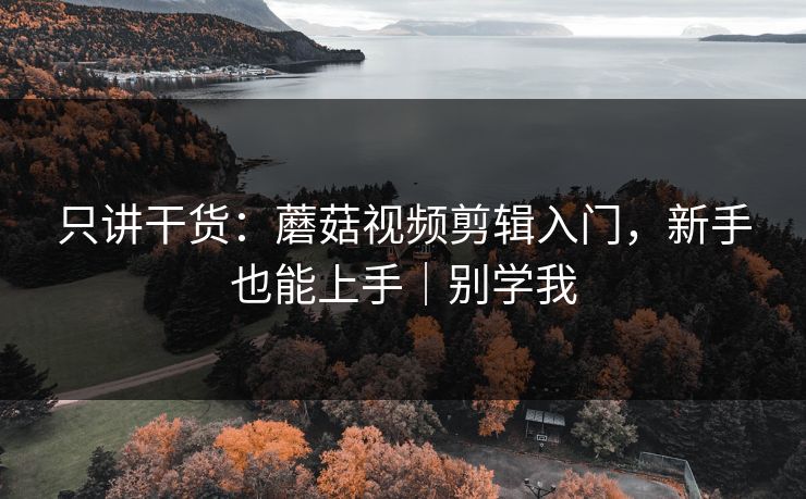 只讲干货：蘑菇视频剪辑入门，新手也能上手｜别学我